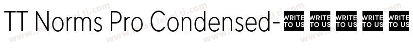 TT Norms Pro Condensed字体转换